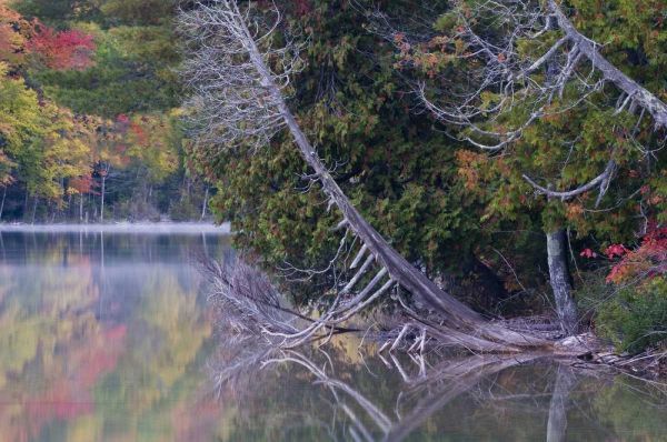 MI, Petes Lake reflects autumn foliage